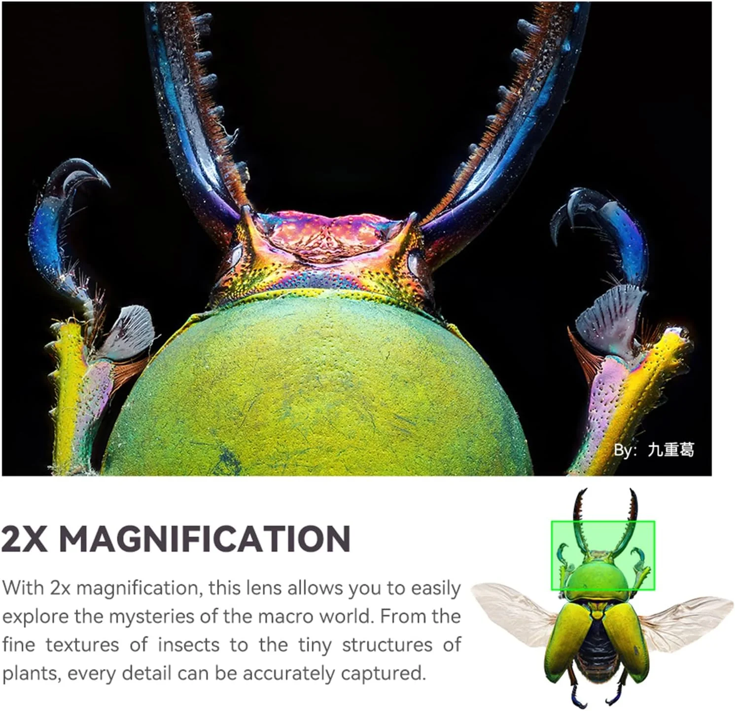 لنز ماکرو 100mm F2.8 2X تی تی آرتಿಸان با فریم کامل و فوکوس دستی برای مانت L با بزرگنمایی 2X مناسب برای دوربین های سری L TL TL2 CL SL SL2 FP FPL S1 S1M S1R S1RM S1H S1K S5