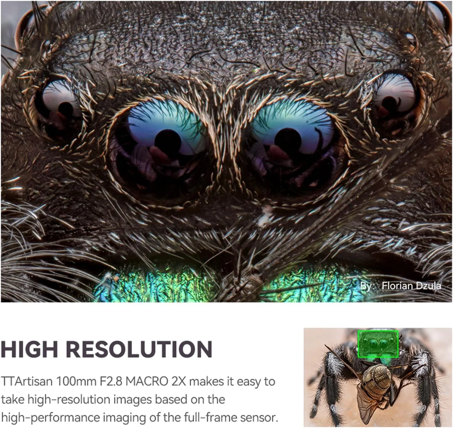 لنز ماکرو 100mm F2.8 2X تی تی آرتಿಸان با فریم کامل و فوکوس دستی برای مانت L با بزرگنمایی 2X مناسب برای دوربین های سری L TL TL2 CL SL SL2 FP FPL S1 S1M S1R S1RM S1H S1K S5