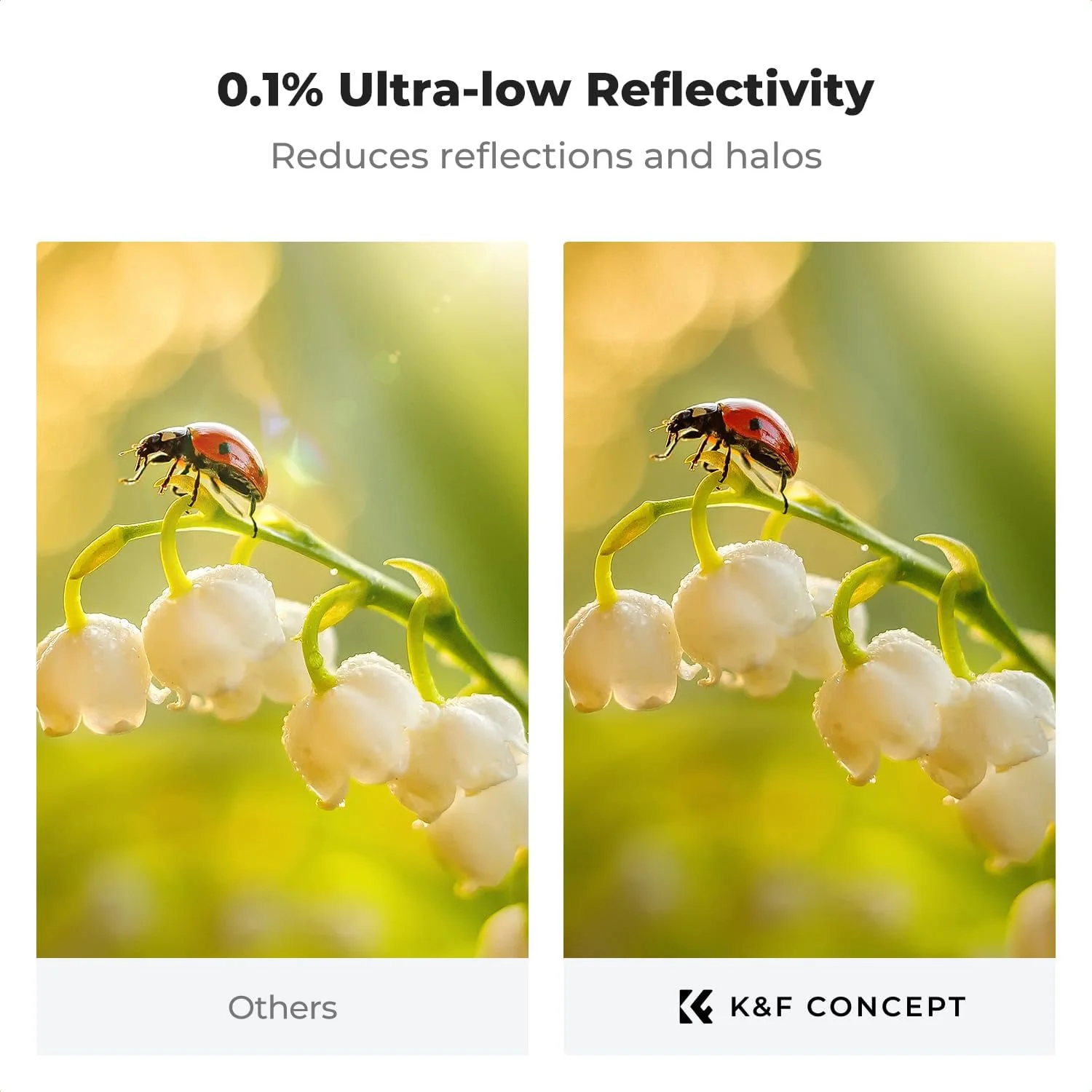 فیلتر بسیار سخت و انعکاس فرابنفش بسیار کم K&F Concept 49mm به همراه پارچه تمیز کننده برای لنز دوربین، محافظت فرابنفش، شیشه اپتیکال با پوشش نانو 28 لایه (سری X) فیلتر بسیار سخت و انعکاس فرابنفش بسیار کم K&F Concept 49mm به همراه پارچه تمیز کننده برای لنز دوربین، محافظت فرابنفش، شیشه اپتیکال با پوشش نانو 28 لایه (سری X)