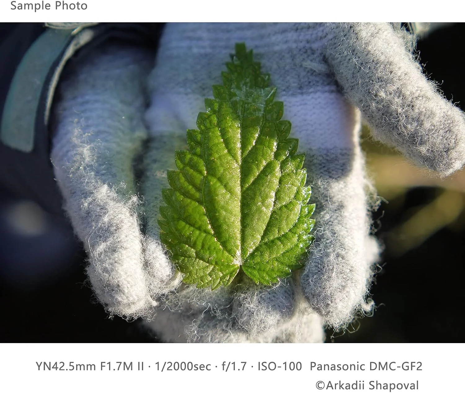 لنز پرایم ثابت 42.5 میلیمتری YONGNUO YN42.5mm F1.7M II با فوکوس خودکار برای دوربینهای میکرو چهار سوم - مشکی لنز پرایم ثابت 42.5 میلیمتری YONGNUO YN42.5mm F1.7M II با فوکوس خودکار برای دوربینهای میکرو چهار سوم - مشکی