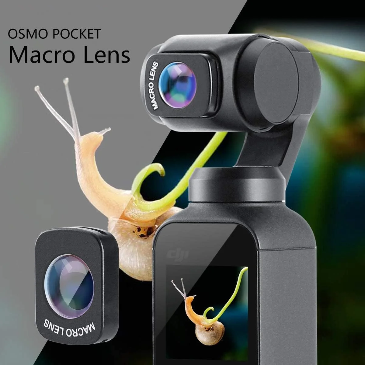 لنز ماکرو چند لایه HD اپتیکال شیشه ای eWINNER OP-6 سازگار با DJI OSMO Pocket، لوازم جانبی گیمبال، لنز ماکرو 10X برای دوربین و گیمبال دستی لنز ماکرو چند لایه HD اپتیکال شیشه ای eWINNER OP-6 سازگار با DJI OSMO Pocket، لوازم جانبی گیمبال، لنز ماکرو 10X برای دوربین و گیمبال دستی