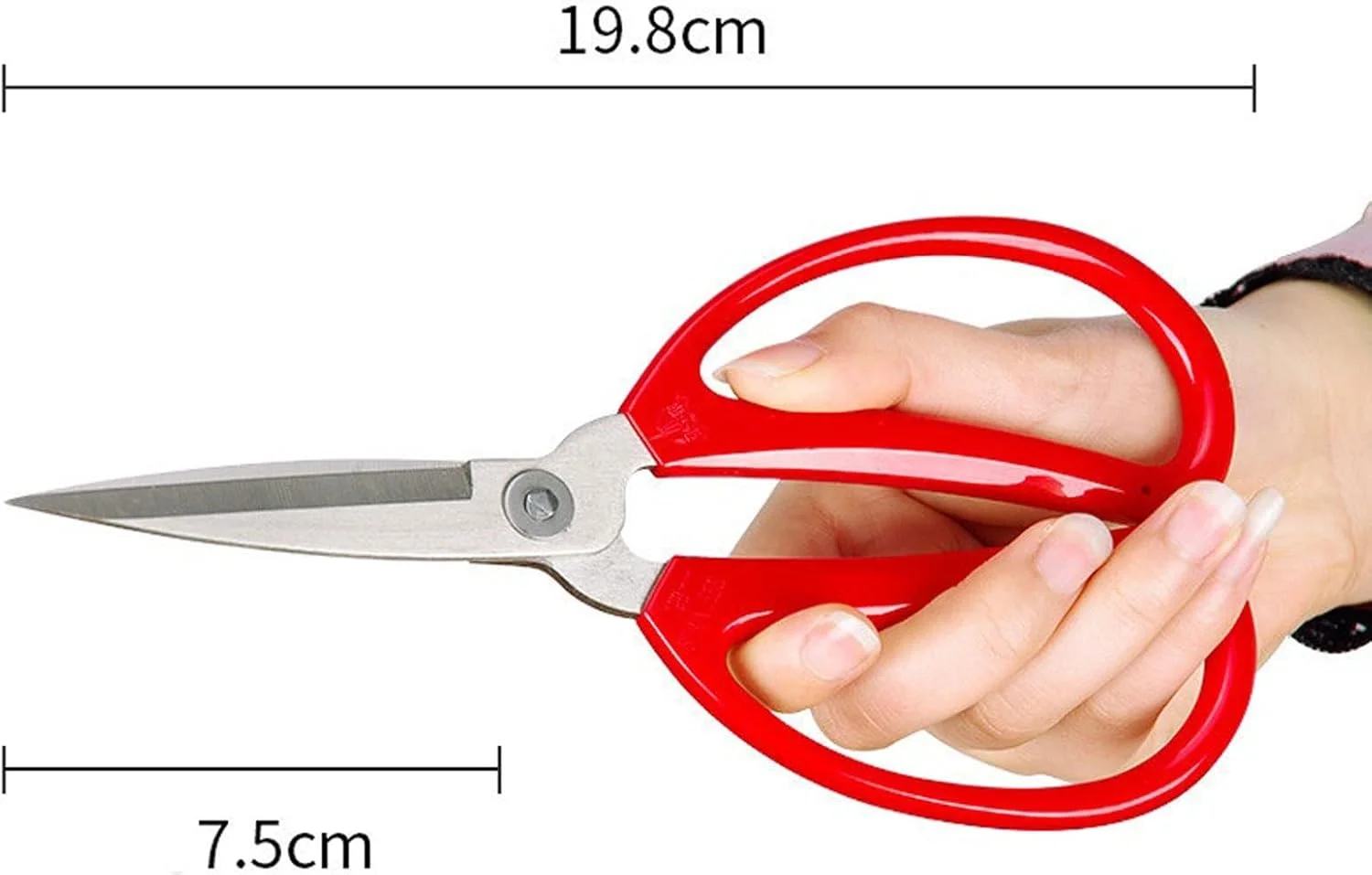 قیچی خیاطی فولادی CENMOO، قیچی های قوی، قیچی گلدوزی، چرم، پارچه، قیچی خیاطی برش کاغذ خانگی (رنگ: 19.8 سانتی متر 7.92 اینچ)