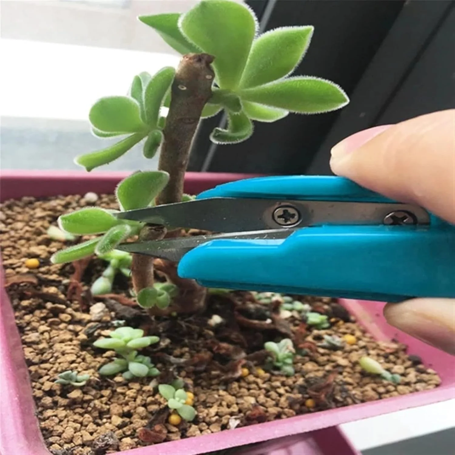 قیچی خیاطی AUEMNUR، قیچی استیل ضد زنگ، ابزار خیاطی، قیچی پارچه، قیچی گلدوزی، لوازم خانگی (Hortelé) قیچی خیاطی AUEMNUR، قیچی استیل ضد زنگ، ابزار خیاطی، قیچی پارچه، قیچی گلدوزی، لوازم خانگی (Hortelé)