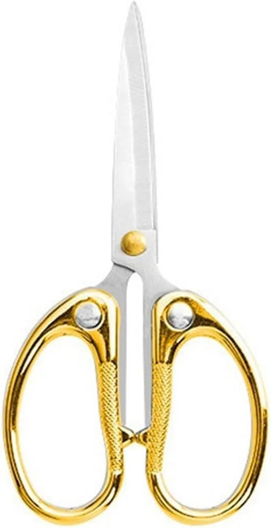 قیچی AUEMNUR، یک عدد، قیچی خیاطی حرفه ای برای برش مستقیم پارچه و لباس، قیچی خیاطی، ابزار قیچی اداری لوازم التحریر خانگی (اندازه: 13.8cm*6.2cm) قیچی AUEMNUR، یک عدد، قیچی خیاطی حرفه ای برای برش مستقیم پارچه و لباس، قیچی خیاطی، ابزار قیچی اداری لوازم التحریر خانگی (اندازه: 13.8cm*6.2cm)