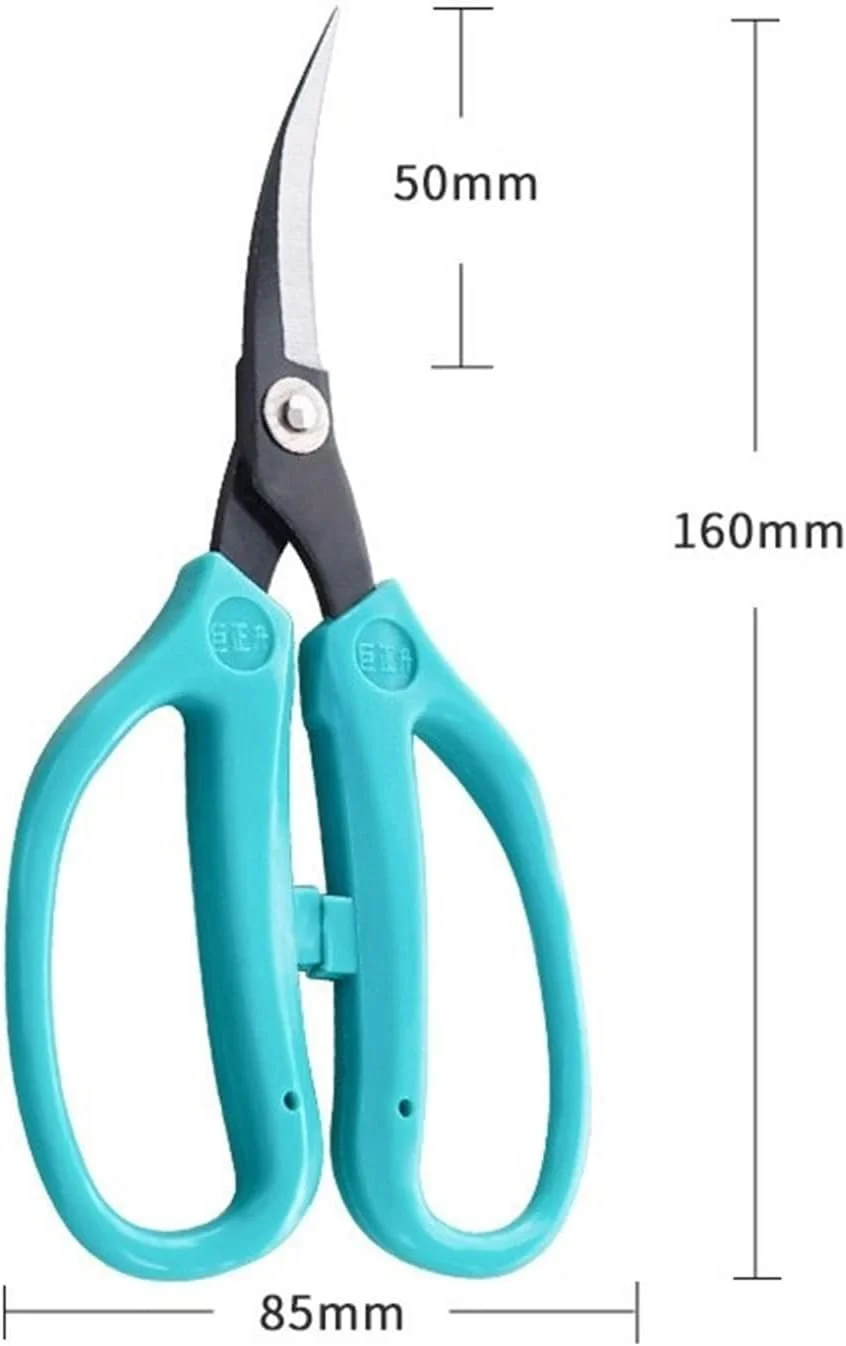 قیچی خیاطی آرنجی AUEMNUR، قیچی گلدوزی برای سوزن دوزی، قیچی خیاطی بخیه متقاطع، قیچی خیاطی کوچک (رنگ: Hortel) قیچی خیاطی آرنجی AUEMNUR، قیچی گلدوزی برای سوزن دوزی، قیچی خیاطی بخیه متقاطع، قیچی خیاطی کوچک (رنگ: Hortel)