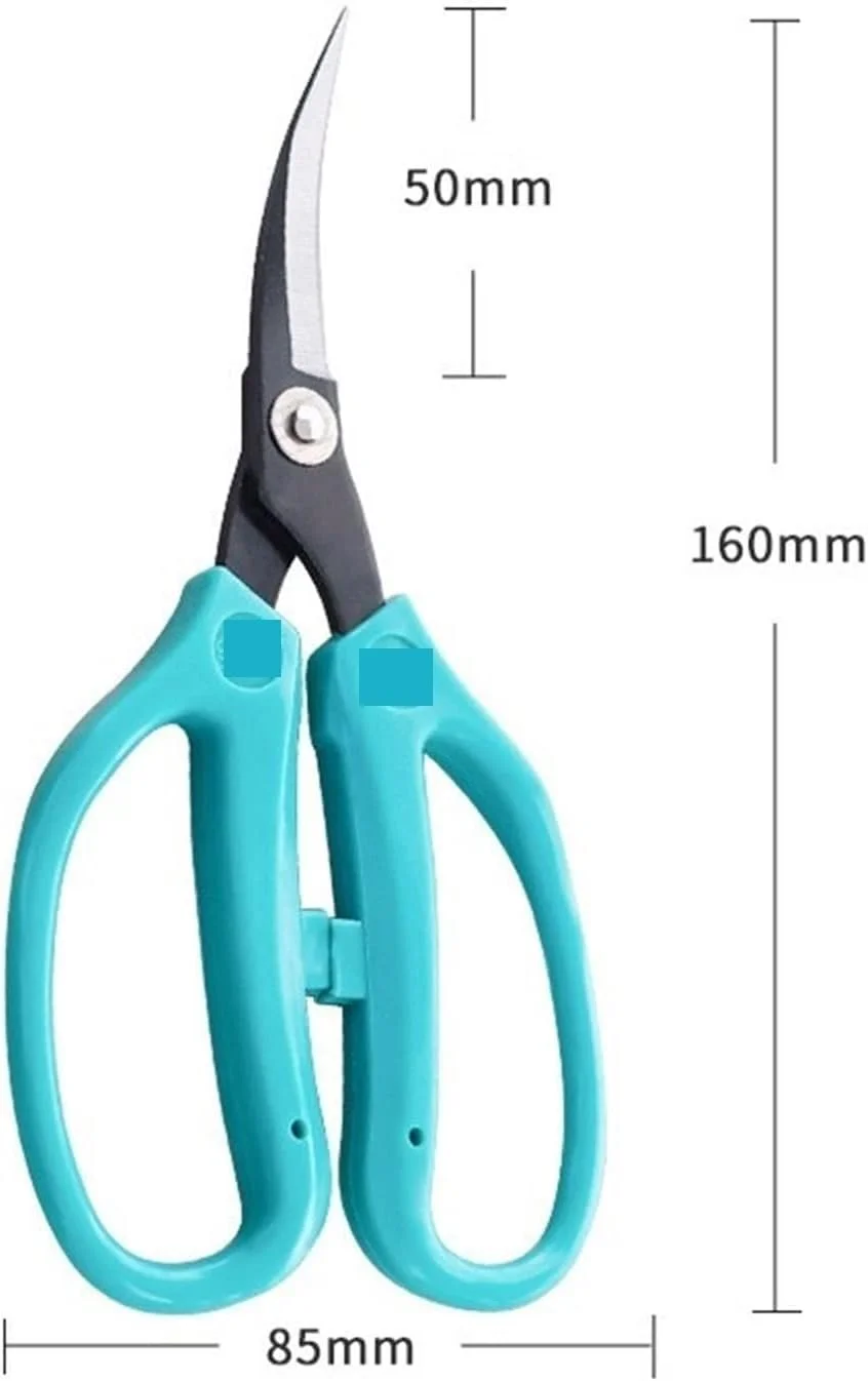 قیچی آرنجی گلدوزی AUEMNUR برای سوزن دوزی، خیاطی، قیچی کوچک خیاطی (رنگ: Hortelé) قیچی آرنجی گلدوزی AUEMNUR برای سوزن دوزی، خیاطی، قیچی کوچک خیاطی (رنگ: Hortelé)