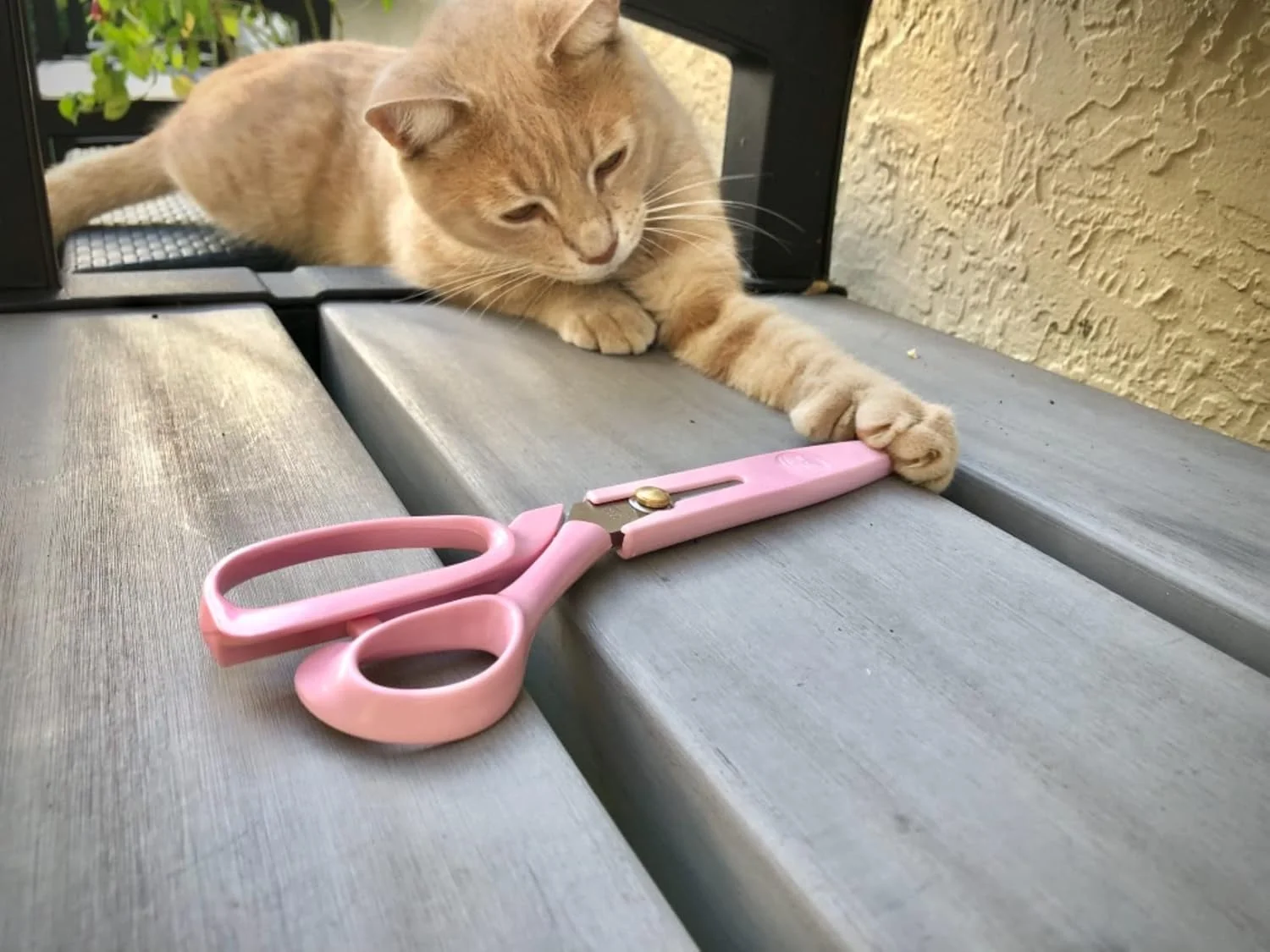 قیچی چند منظوره 9 اینچی ATO-DJCX، دسته های راحت، قیچی های تیز و بادوام استیل ضد زنگ برای لوازم اداری، منزل، مدرسه، خیاطی، پارچه و صنایع دستی به همراه روکش محافظ صورتی قیچی چند منظوره 9 اینچی ATO-DJCX، دسته های راحت، قیچی های تیز و بادوام استیل ضد زنگ برای لوازم اداری، منزل، مدرسه، خیاطی، پارچه و صنایع دستی به همراه روکش محافظ صورتی