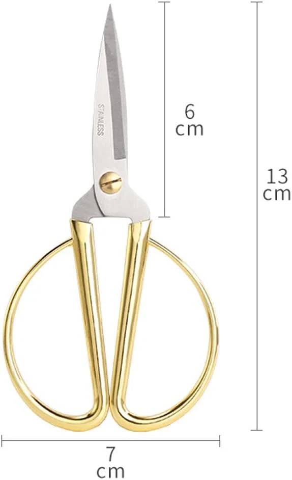 قیچی خیاطی 5 اینچی تمام استیل Aemoe، قیچی تیز خیاطی برای گلدوزی، خیاطی، صنایع دستی، کارهای هنری DIY و استفاده روزانه برای خانه، دفتر کار، مدرسه طلایی قیچی خیاطی 5 اینچی تمام استیل Aemoe، قیچی تیز خیاطی برای گلدوزی، خیاطی، صنایع دستی، کارهای هنری DIY و استفاده روزانه برای خانه، دفتر کار، مدرسه طلایی