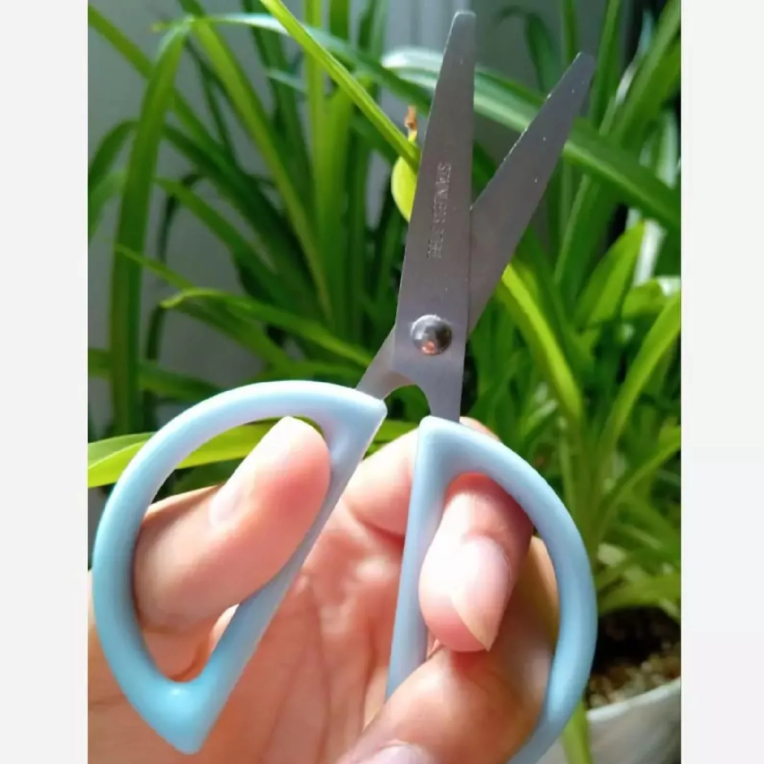 قیچی کاردستی فانتزی 12 سانتی متری – تیغه فلزی، طرح گربه بازیگوش، رنگ های متنوع شیک، ایمن و سرگرم کننده برای کاردستی های DIY کودکان، پروژه های مدرسه و فعالیت های برش خلاقانه