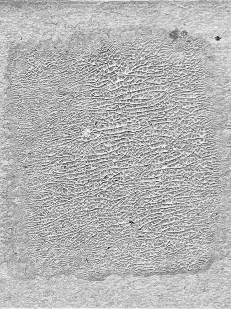 رنگ ترک دار Ranger Tim Holtz - Distress CRCKL، شفاف، 3 اونس رنگ ترک دار Ranger Tim Holtz - Distress CRCKL، شفاف، 3 اونس
