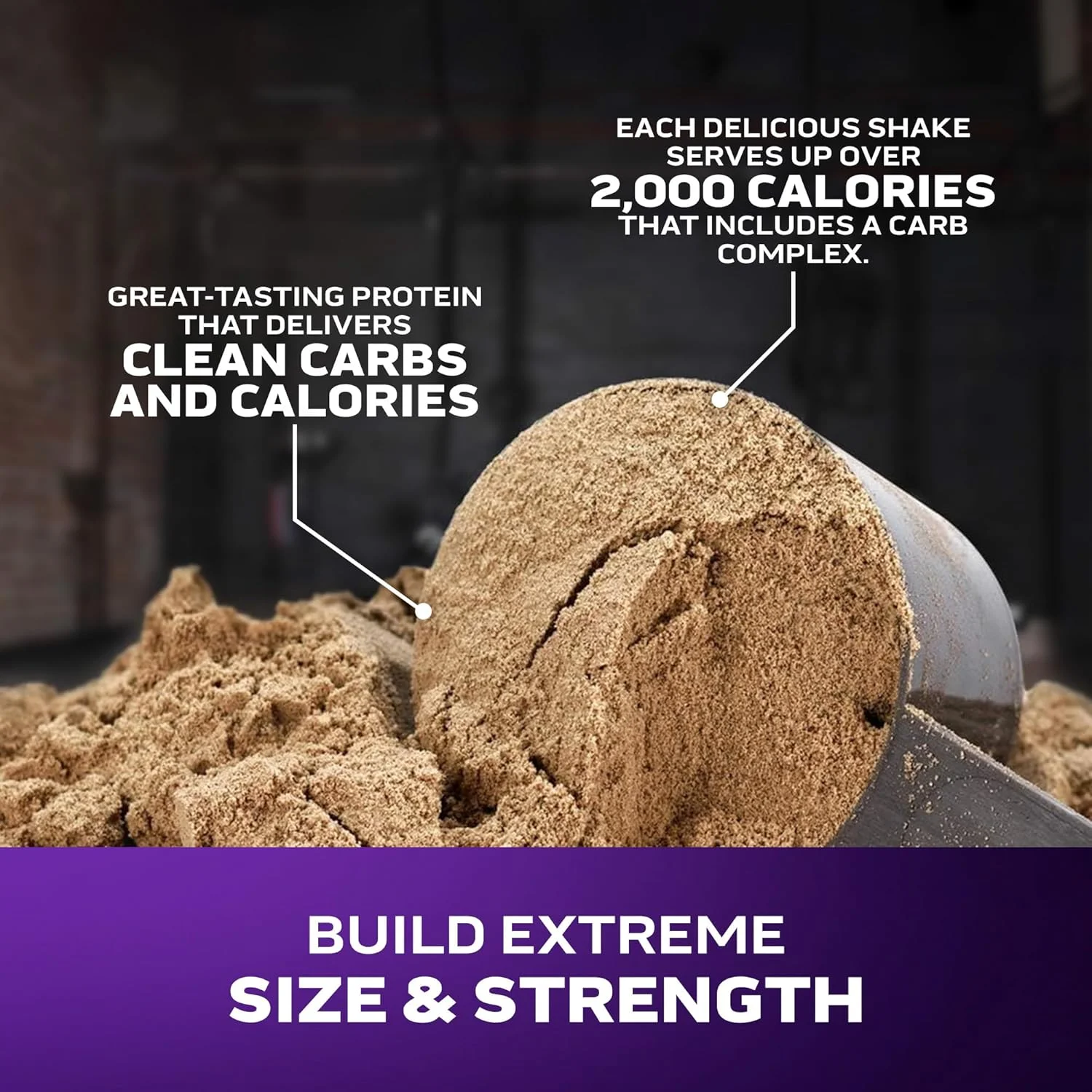 مکمل افزایش وزن و حجم عضلانی ماسل تک مس تک اکستریم 2000، با پروتئین بالا، افزایش سایز و قدرت عضلات، بهبود عملکرد و پشتیبانی از ریکاوری عضلات برای آقایان و بانوان، طعم براونی شکلاتی، 2.72 کیلوگرم مکمل افزایش وزن و حجم عضلانی ماسل تک مس تک اکستریم 2000، با پروتئین بالا، افزایش سایز و قدرت عضلات، بهبود عملکرد و پشتیبانی از ریکاوری عضلات برای آقایان و بانوان، طعم براونی شکلاتی، 2.72 کیلوگرم