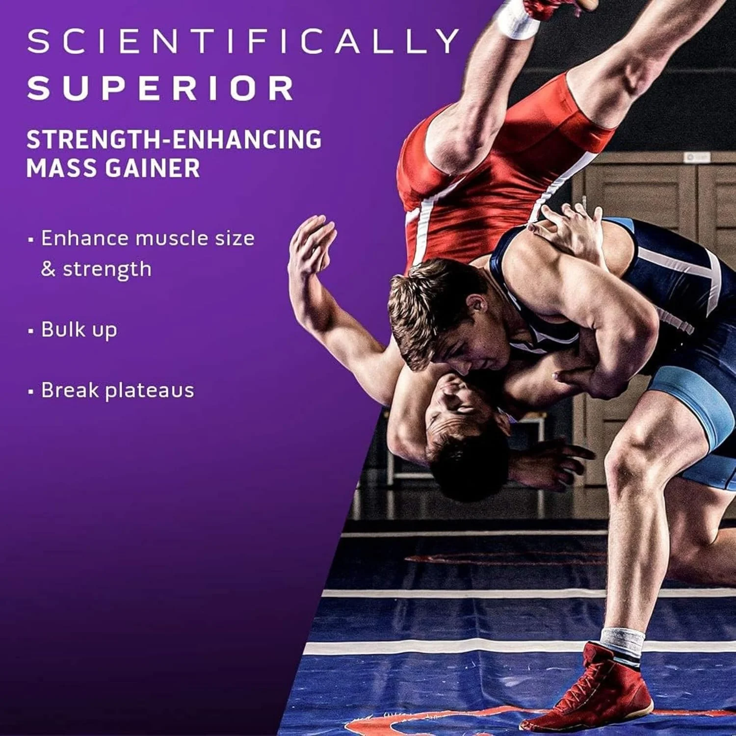 مکمل افزایش حجم عضلانی ماسل تک مس تک الیت، فرمول علمی برتر برای عضله سازی، افزایش سایز و قدرت عضلات با جذب 20% بهتر آمینو اسید و 10 گرم کراتین، طعم کیک شکلاتی فاج 6.00 پوند مکمل افزایش حجم عضلانی ماسل تک مس تک الیت، فرمول علمی برتر برای عضله سازی، افزایش سایز و قدرت عضلات با جذب 20% بهتر آمینو اسید و 10 گرم کراتین، طعم کیک شکلاتی فاج 6.00 پوند