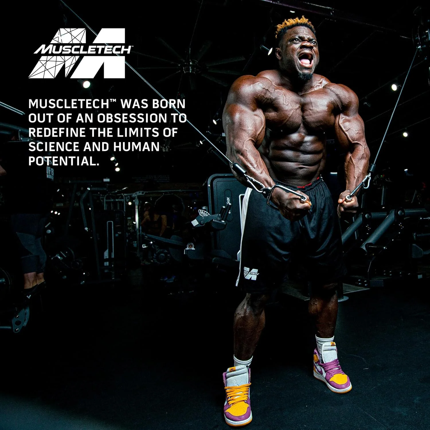 مکمل افزایش وزن و حجم عضلانی ماسل تک مس تک اکستریم 2000، با پروتئین بالا، افزایش سایز و قدرت عضلات، بهبود عملکرد و پشتیبانی از ریکاوری عضلات برای آقایان و بانوان، طعم براونی شکلاتی، 2.72 کیلوگرم مکمل افزایش وزن و حجم عضلانی ماسل تک مس تک اکستریم 2000، با پروتئین بالا، افزایش سایز و قدرت عضلات، بهبود عملکرد و پشتیبانی از ریکاوری عضلات برای آقایان و بانوان، طعم براونی شکلاتی، 2.72 کیلوگرم