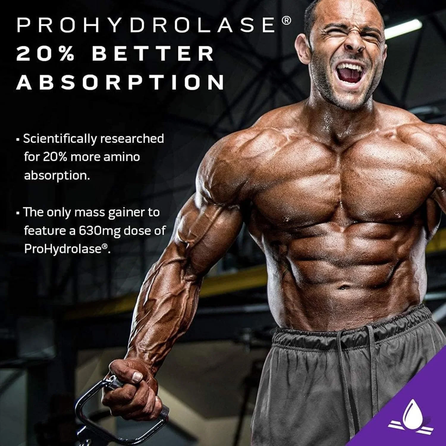 مکمل افزایش حجم عضلانی ماسل تک مس تک الیت، فرمول علمی برتر برای عضله سازی، افزایش سایز و قدرت عضلات با جذب 20% بهتر آمینو اسید و 10 گرم کراتین، طعم کیک شکلاتی فاج 6.00 پوند مکمل افزایش حجم عضلانی ماسل تک مس تک الیت، فرمول علمی برتر برای عضله سازی، افزایش سایز و قدرت عضلات با جذب 20% بهتر آمینو اسید و 10 گرم کراتین، طعم کیک شکلاتی فاج 6.00 پوند