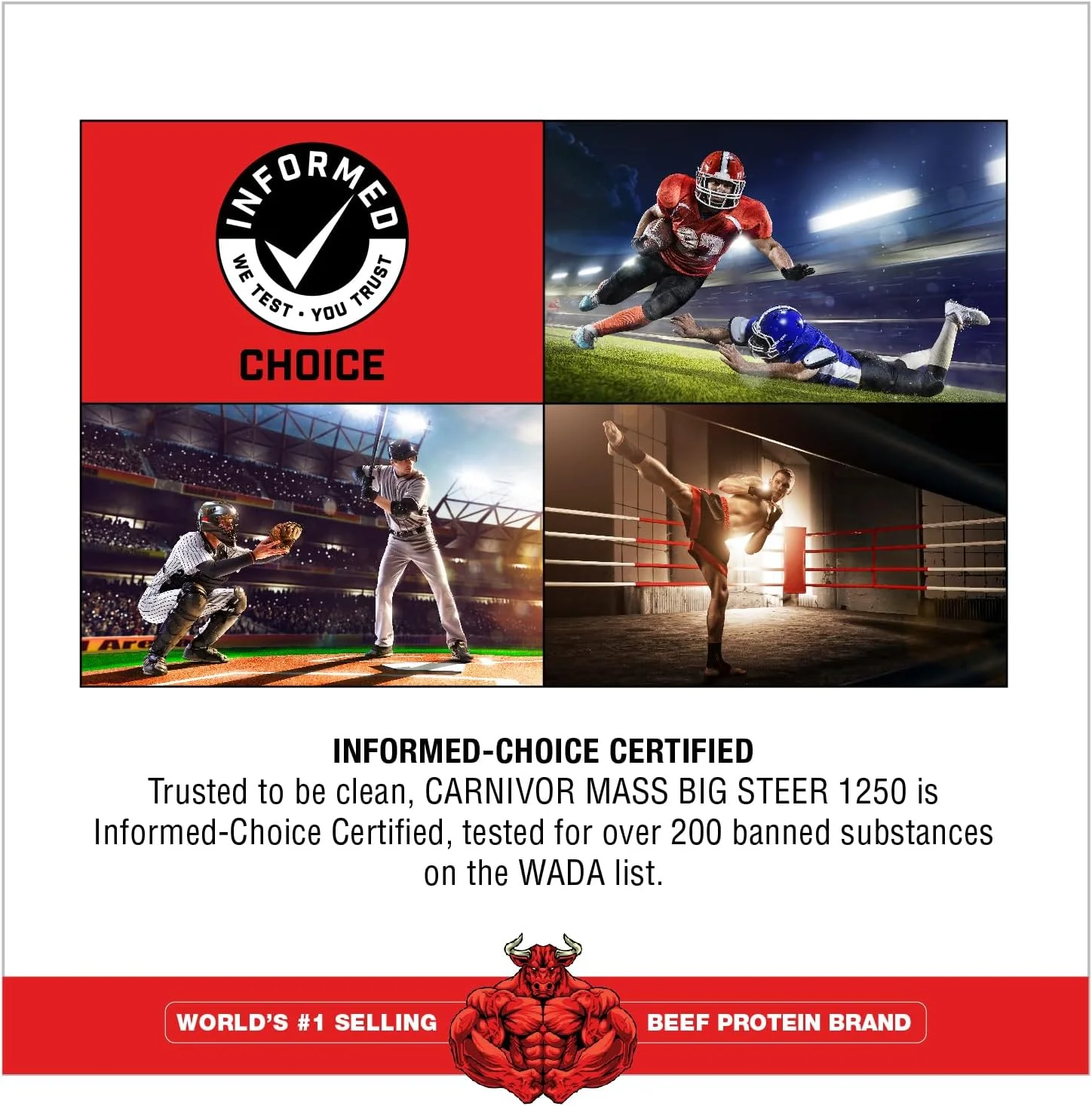 ماسل‌مدز کارنیور مس شکلاتی بیگ استیر 1250 سطلی، 15 پوند (بسته بندی ممکن است متفاوت باشد)