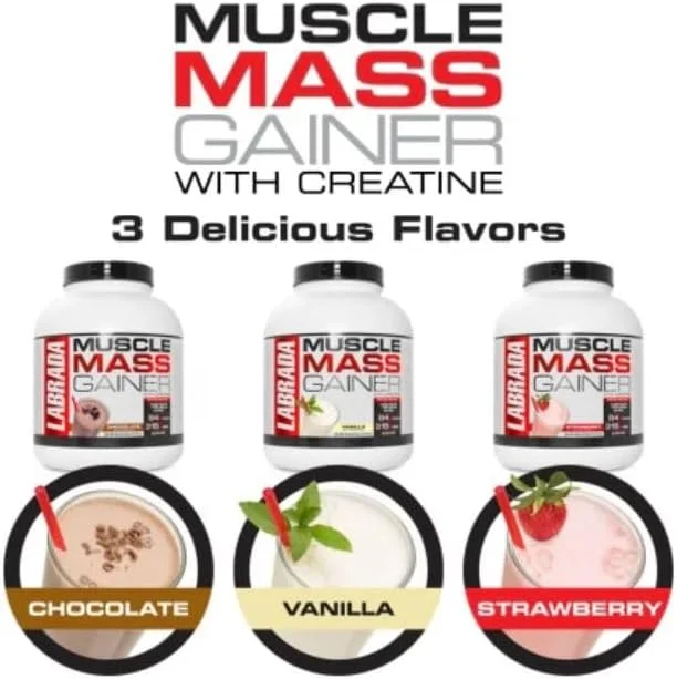 مکمل افزایش حجم عضلانی لابرادا نوتریشن با طعم شکلات 6 پوند مکمل افزایش حجم عضلانی لابرادا نوتریشن با طعم شکلات 6 پوند