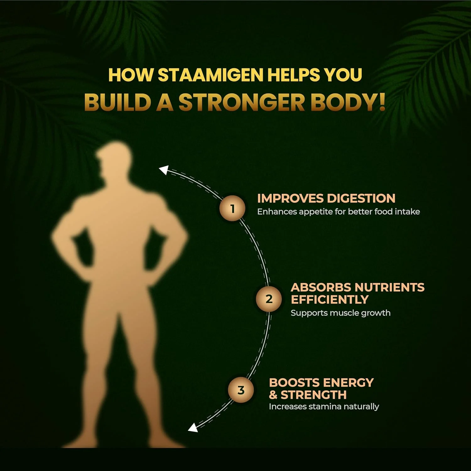 مالت استامیژن آلفا آیورودا - افزایش دهنده وزن آیورودا برای مردان با مواد طبیعی برای افزایش توده عضلانی، استقامت، اشتها و سلامت کلی - 500 گرم مالت استامیژن آلفا آیورودا - افزایش دهنده وزن آیورودا برای مردان با مواد طبیعی برای افزایش توده عضلانی، استقامت، اشتها و سلامت کلی - 500 گرم