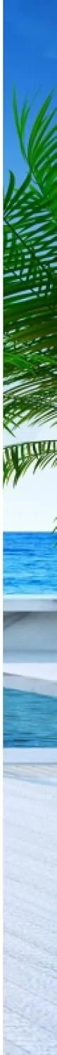 پیراهن های هاوایی مردانه Visesunny آستین کوتاه پیراهن ساحلی Aloha گلدار تابستانی دکمه دار غیر رسمی پیراهن های هاوایی مردانه Visesunny آستین کوتاه پیراهن ساحلی Aloha گلدار تابستانی دکمه دار غیر رسمی