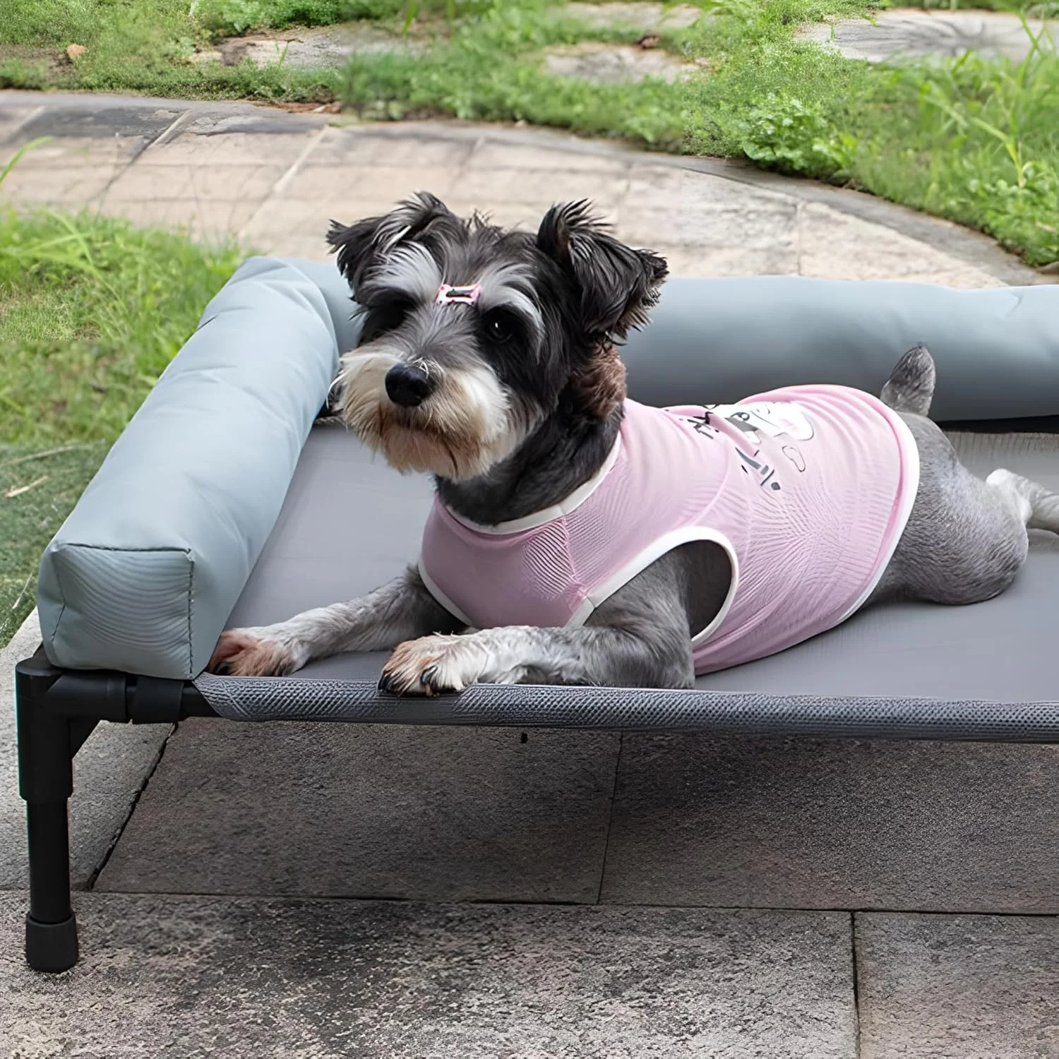 تخت خواب خنک کننده مرتفع سگ برای سگ های کوچک و متوسط - تخت حیوانات خانگی ضد آب و بادوام با توری تنفسی، پشتیبانی ارتوپدی - تخت خواب قابل حمل در فضای باز برای جعبه ها، کمپینگ، مسافرت، استفاده در فضای داخلی