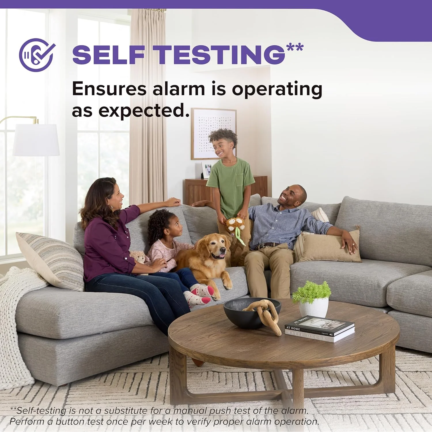 آشکارساز دود و مونوکسید کربن Kidde، با باتری AA، هشدارهای صوتی، نشانگرهای نور LED آشکارساز دود و مونوکسید کربن Kidde، با باتری AA، هشدارهای صوتی، نشانگرهای نور LED