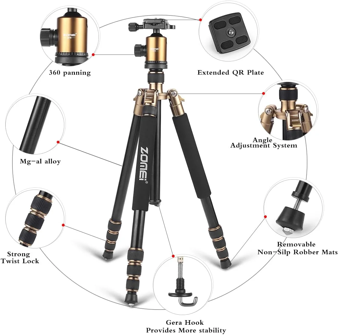 سه پایه سبک وزن دوربین DSLR مدل ZOMEi Z818 با هد توپی 360 درجه و کیف حمل برای دوربین های کانن نیکون سونی سامسونگ المپوس (طلایی) سه پایه سبک وزن دوربین DSLR مدل ZOMEi Z818 با هد توپی 360 درجه و کیف حمل برای دوربین های کانن نیکون سونی سامسونگ المپوس (طلایی)