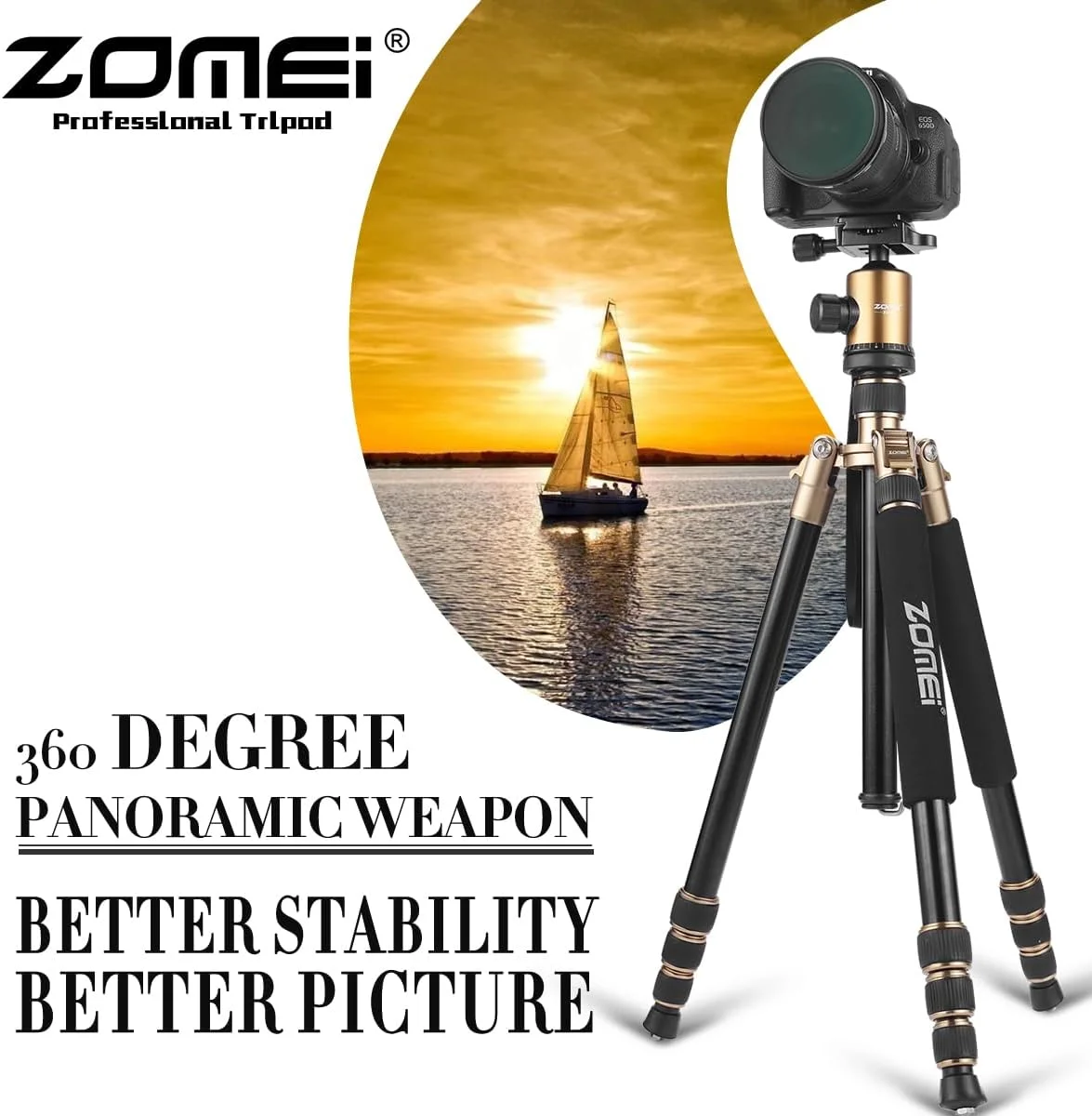 سه پایه سبک وزن دوربین DSLR مدل ZOMEi Z818 با هد توپی 360 درجه و کیف حمل برای دوربین های کانن نیکون سونی سامسونگ المپوس (طلایی) سه پایه سبک وزن دوربین DSLR مدل ZOMEi Z818 با هد توپی 360 درجه و کیف حمل برای دوربین های کانن نیکون سونی سامسونگ المپوس (طلایی)