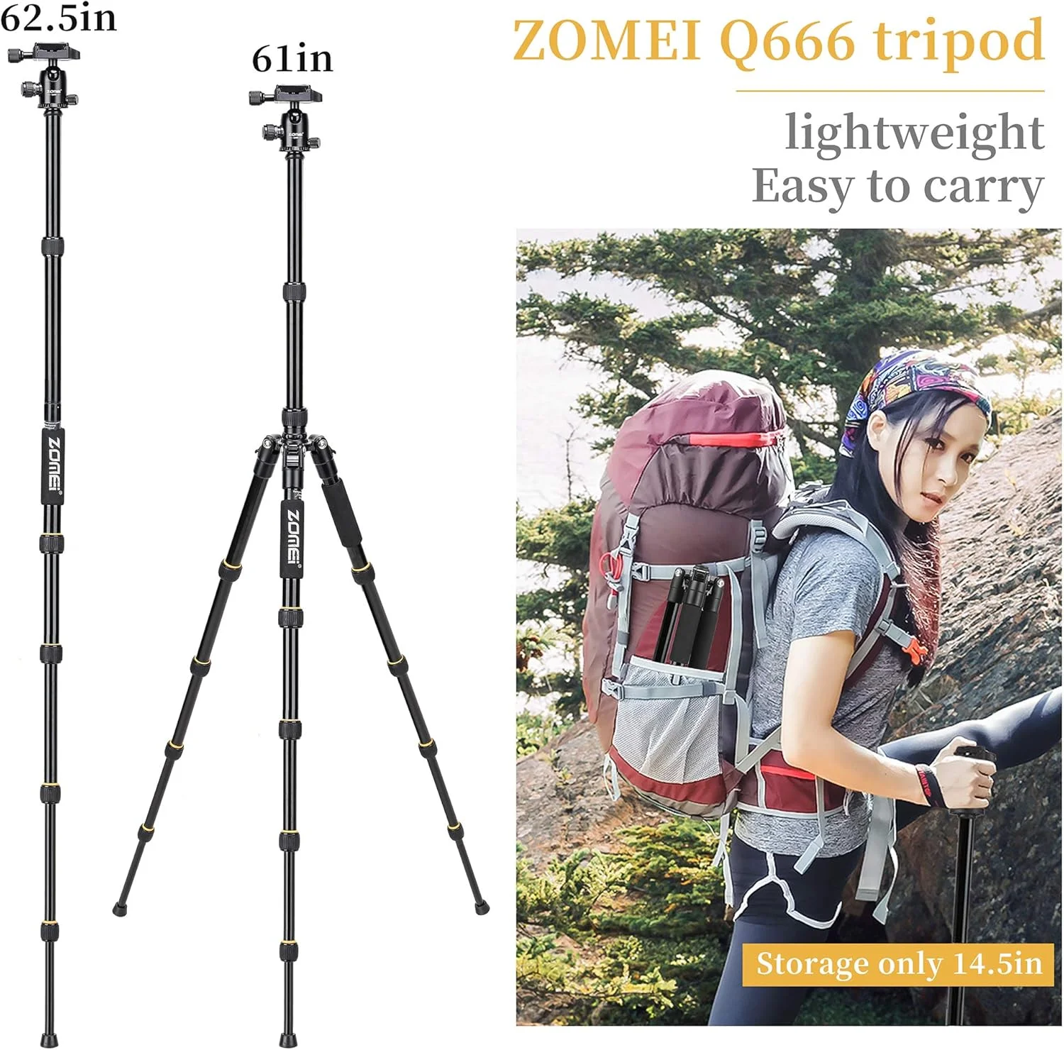 سه پایه دوربین ZOMEI Q666، سه پایه مسافرتی آلومینیومی سبک وزن 155 سانتی متری، سه پایه عکس 3 در 1، سه پایه ماکرو و تک پایه با سر توپی پانوراما 360 درجه و صفحه رهاسازی سریع 1/4 اینچی برای دوربین DSLR سه پایه دوربین ZOMEI Q666، سه پایه مسافرتی آلومینیومی سبک وزن 155 سانتی متری، سه پایه عکس 3 در 1، سه پایه ماکرو و تک پایه با سر توپی پانوراما 360 درجه و صفحه رهاسازی سریع 1/4 اینچی برای دوربین DSLR