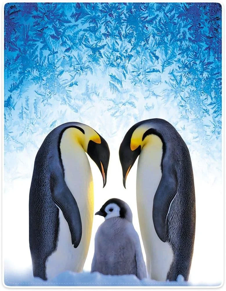 پتو نرم و لطیف Zomer، طرح پنگوئن، پتو پشمی، پتو میکروفایبر، پتو نرم و گرم برای مبل/کاناپه، 150 x 200 سانتی متر پتو نرم و لطیف Zomer، طرح پنگوئن، پتو پشمی، پتو میکروفایبر، پتو نرم و گرم برای مبل/کاناپه، 150 x 200 سانتی متر