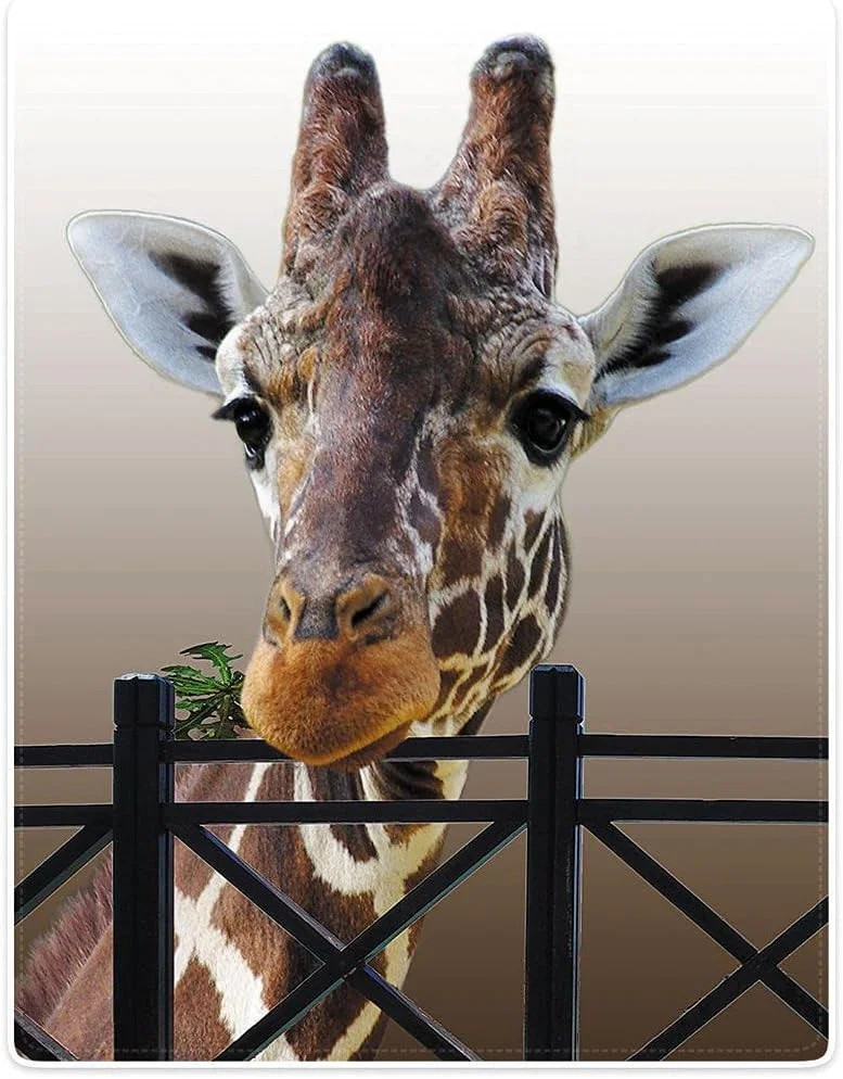 پتوی نرم زومر با طرح چاپی زرافه، خاکستری، 150 x 200 سانتی متر پتوی نرم زومر با طرح چاپی زرافه، خاکستری، 150 x 200 سانتی متر