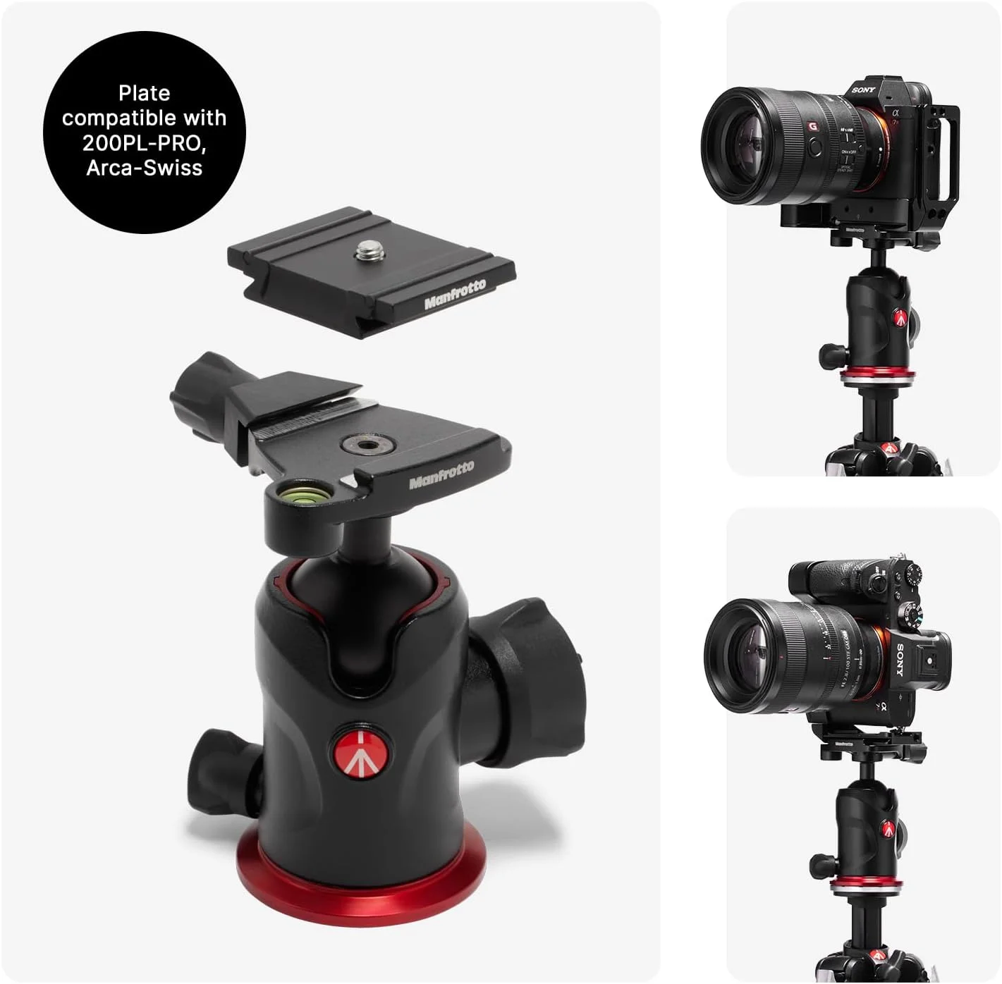 کیت سه پایه آلومینیومی Manfrotto 290XTRA با هد توپی 496، پایه های 3 قسمتی، 4 موقعیت زاویه، قفل های اهرمی سریع، صفحه Arca-Swiss، حداکثر وزن قابل تحمل 10 کیلوگرم، کیف شانه ای، برای دوربین های DSLR، بدون آینه، دوربین های کامپکت کیت سه پایه آلومینیومی Manfrotto 290XTRA با هد توپی 496، پایه های 3 قسمتی، 4 موقعیت زاویه، قفل های اهرمی سریع، صفحه Arca-Swiss، حداکثر وزن قابل تحمل 10 کیلوگرم، کیف شانه ای، برای دوربین های DSLR، بدون آینه، دوربین های کامپکت