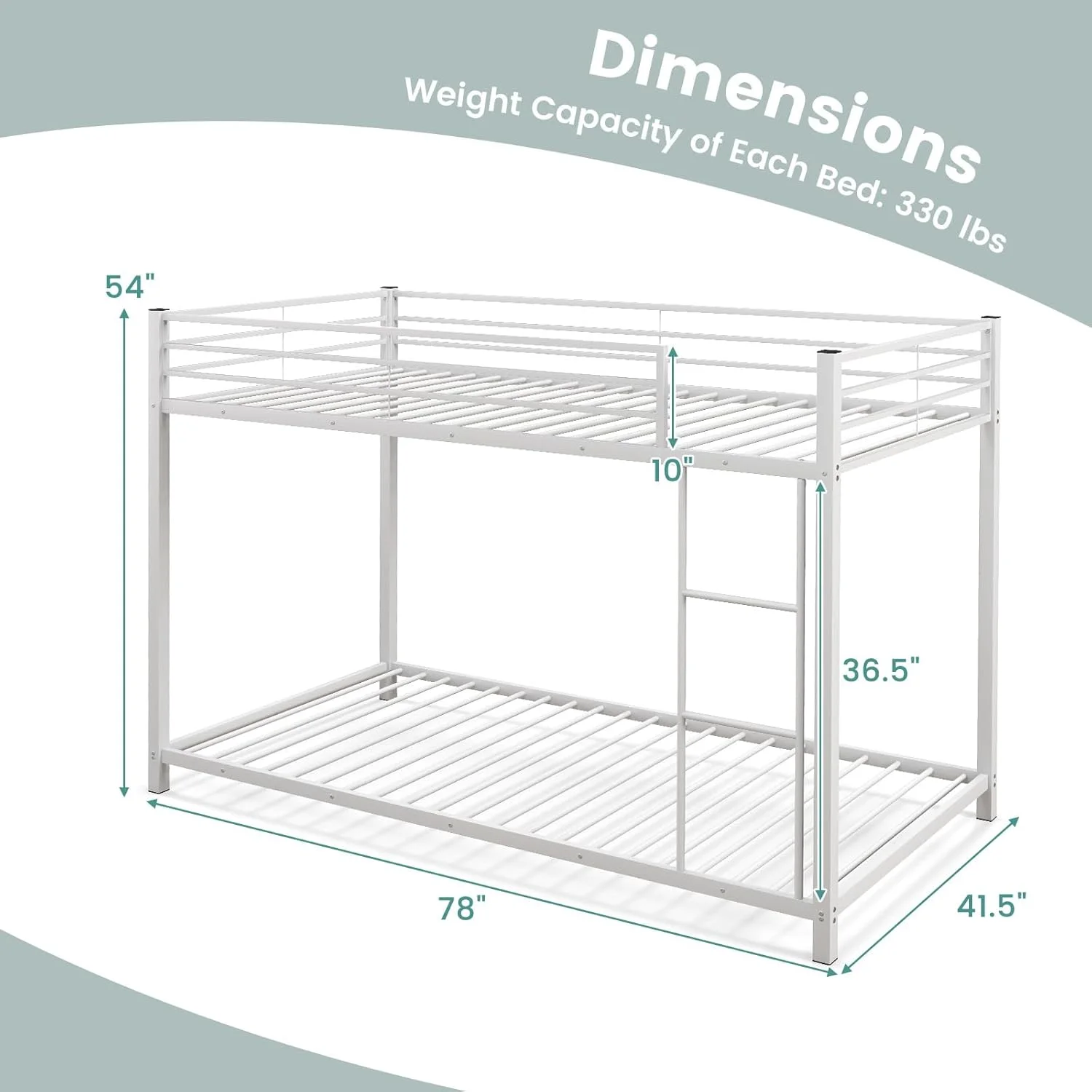 تخت دو طبقه فلزی جاینتکس، تخت دو نفره روی هم، قاب تخت دو طبقه کم ارتفاع با نردبان و نرده محافظ سرتاسری، قاب تخت دو نفره صرفه جویی در فضا برای نوجوانان کودکان، بدون نیاز به فنر جعبه ای (سفید) تخت دو طبقه فلزی جاینتکس، تخت دو نفره روی هم، قاب تخت دو طبقه کم ارتفاع با نردبان و نرده محافظ سرتاسری، قاب تخت دو نفره صرفه جویی در فضا برای نوجوانان کودکان، بدون نیاز به فنر جعبه ای (سفید)