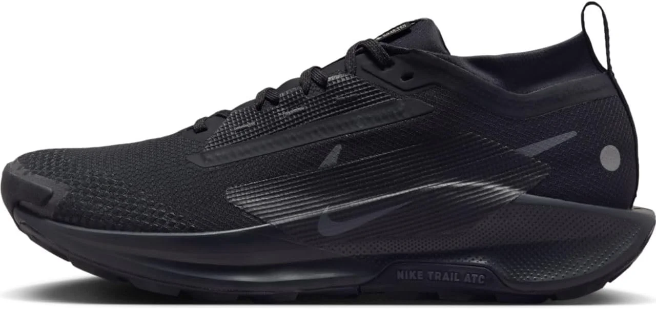 کفش ورزشی مردانه نایک Nike Pegasus Trail 5 Gore-tex