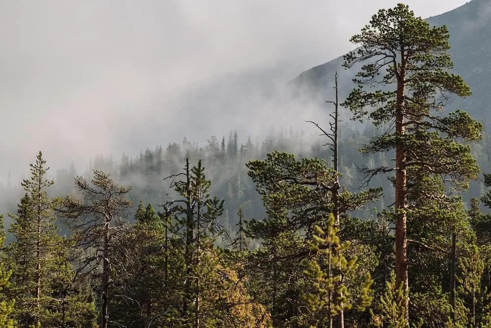 قطب نمای SUUNTO MC-2: قطب نمای درجه یک برای متخصصان و کوهنوردان جدی قطب نمای SUUNTO MC-2: قطب نمای درجه یک برای متخصصان و کوهنوردان جدی