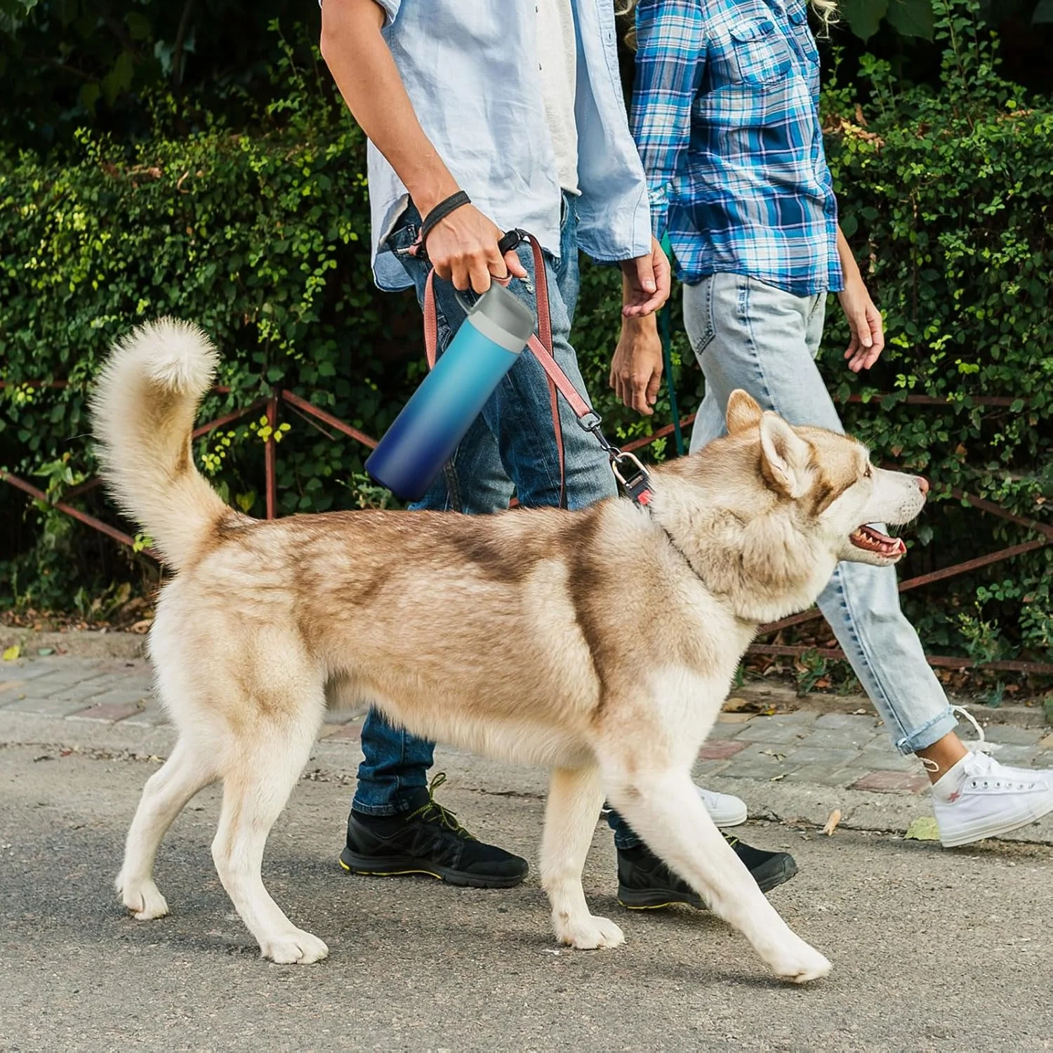 بطری آب استیل ضد زنگ FJbottle با درب نی دار 590 میلی لیتری، بطری آب عایق خلاء دو جداره مناسب کودکان، حفظ دمای گرم و سرد برای مدرسه، ورزش و مسافرت پسران و دختران بطری آب استیل ضد زنگ FJbottle با درب نی دار 590 میلی لیتری، بطری آب عایق خلاء دو جداره مناسب کودکان، حفظ دمای گرم و سرد برای مدرسه، ورزش و مسافرت پسران و دختران