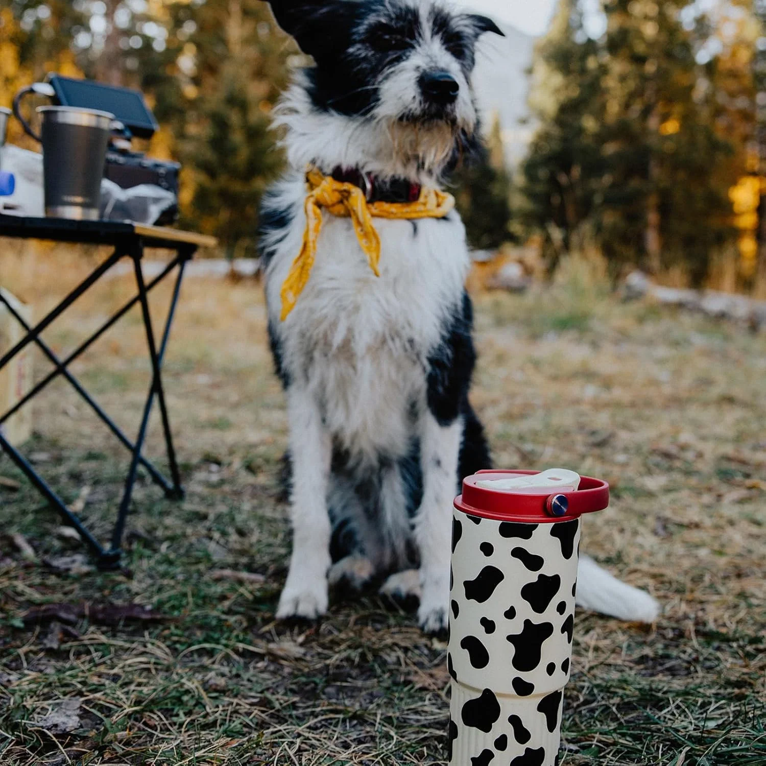 بطری آب عایق bottlebottle با نی و دسته، بطری های آب استیل ضد زنگ برای ماشین، ورزش، خانه، دفتر و مدرسه، بطری های ضد نشت 770 میلی لیتری (طرح گاو) بطری آب عایق bottlebottle با نی و دسته، بطری های آب استیل ضد زنگ برای ماشین، ورزش، خانه، دفتر و مدرسه، بطری های ضد نشت 770 میلی لیتری (طرح گاو)