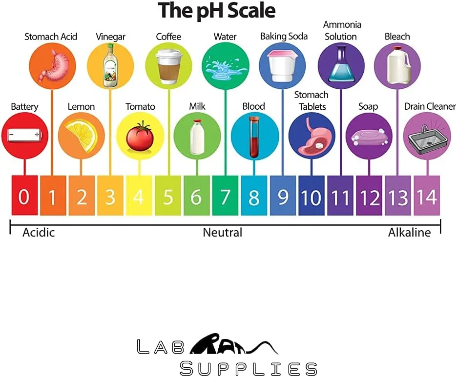 فیلتر قلیایی استاندارد Shapure و کارتریج مواد معدنی پلاستیک ABS با درجه غذایی 100% برای دستگاه های تصفیه آب RO (فیلتر قلیایی استاندارد) فیلتر قلیایی استاندارد Shapure و کارتریج مواد معدنی پلاستیک ABS با درجه غذایی 100% برای دستگاه های تصفیه آب RO (فیلتر قلیایی استاندارد)