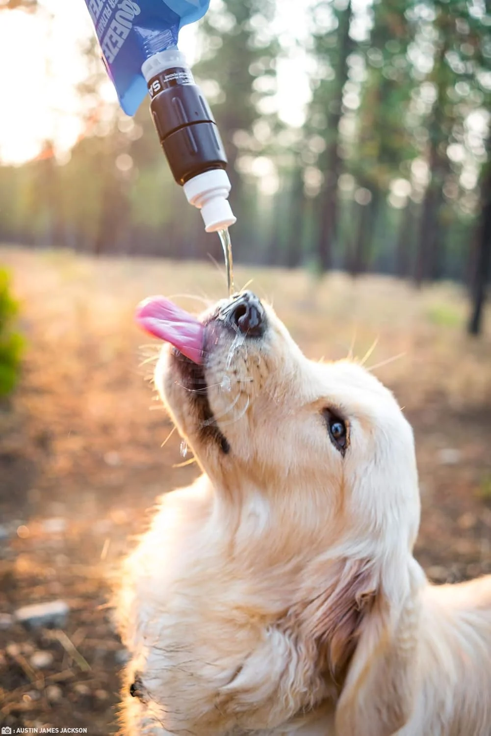 سیستم تصفیه آب Sawyer Products Micro Squeeze