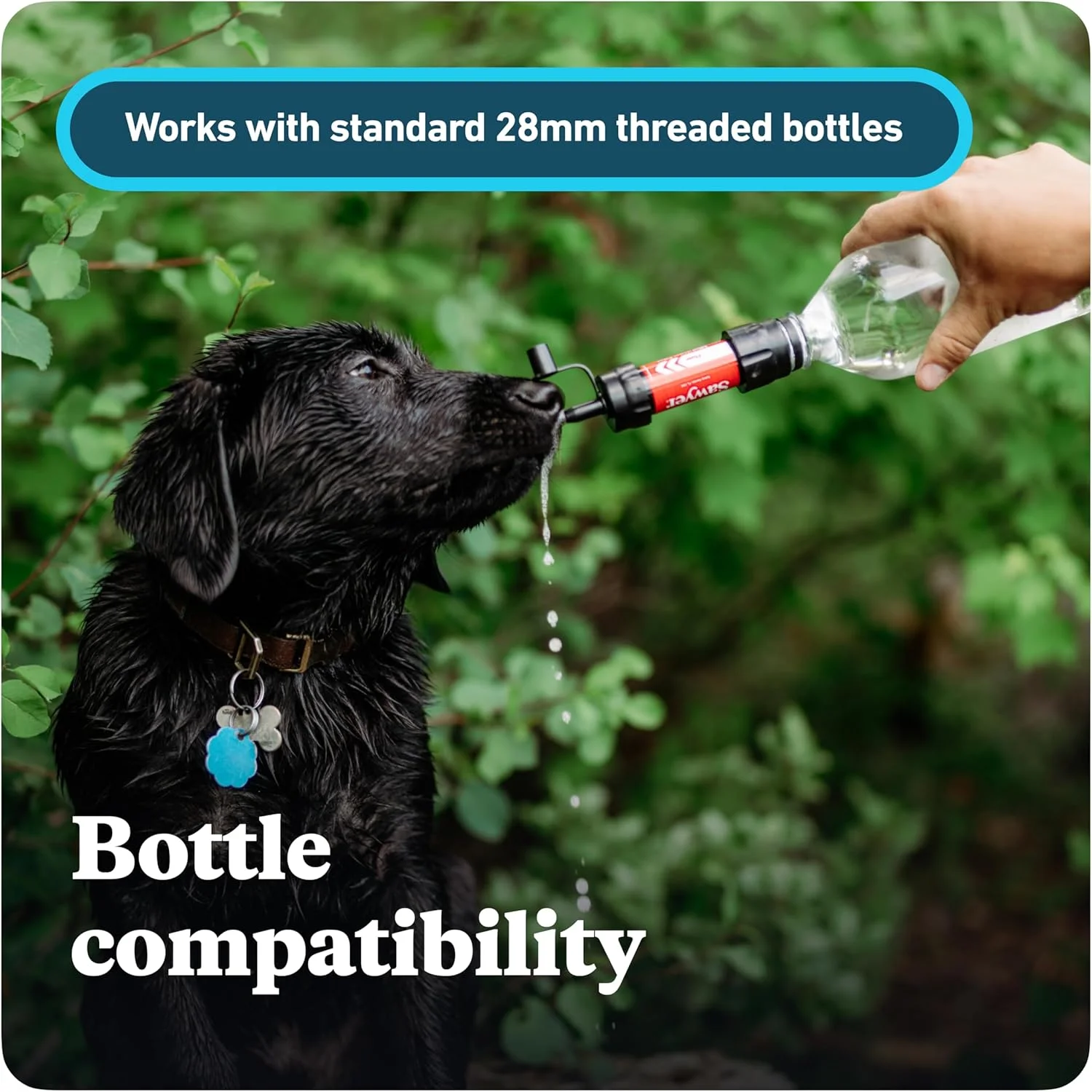 سیستم تصفیه آب کوچک Sawyer Products SP128، تک، آبی