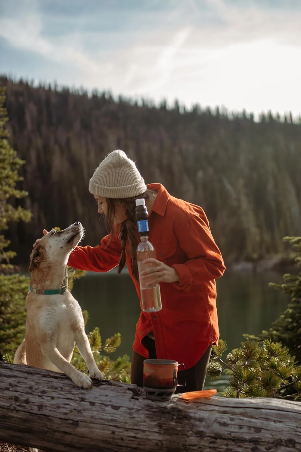 سیستم تصفیه آب فشاری سیستم تصفیه آب فشاری