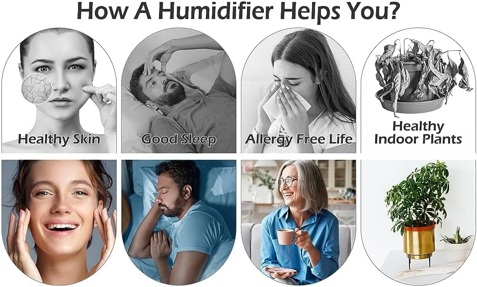 خوشبو کننده هوا و تصفیه کننده آب و هوا الکتریکی مدل برگی Vsell24 با نور LED مناسب خانه، دفتر، اتاق خواب 240-220 ولت (آبی) خوشبو کننده هوا و تصفیه کننده آب و هوا الکتریکی مدل برگی Vsell24 با نور LED مناسب خانه، دفتر، اتاق خواب 240-220 ولت (آبی)