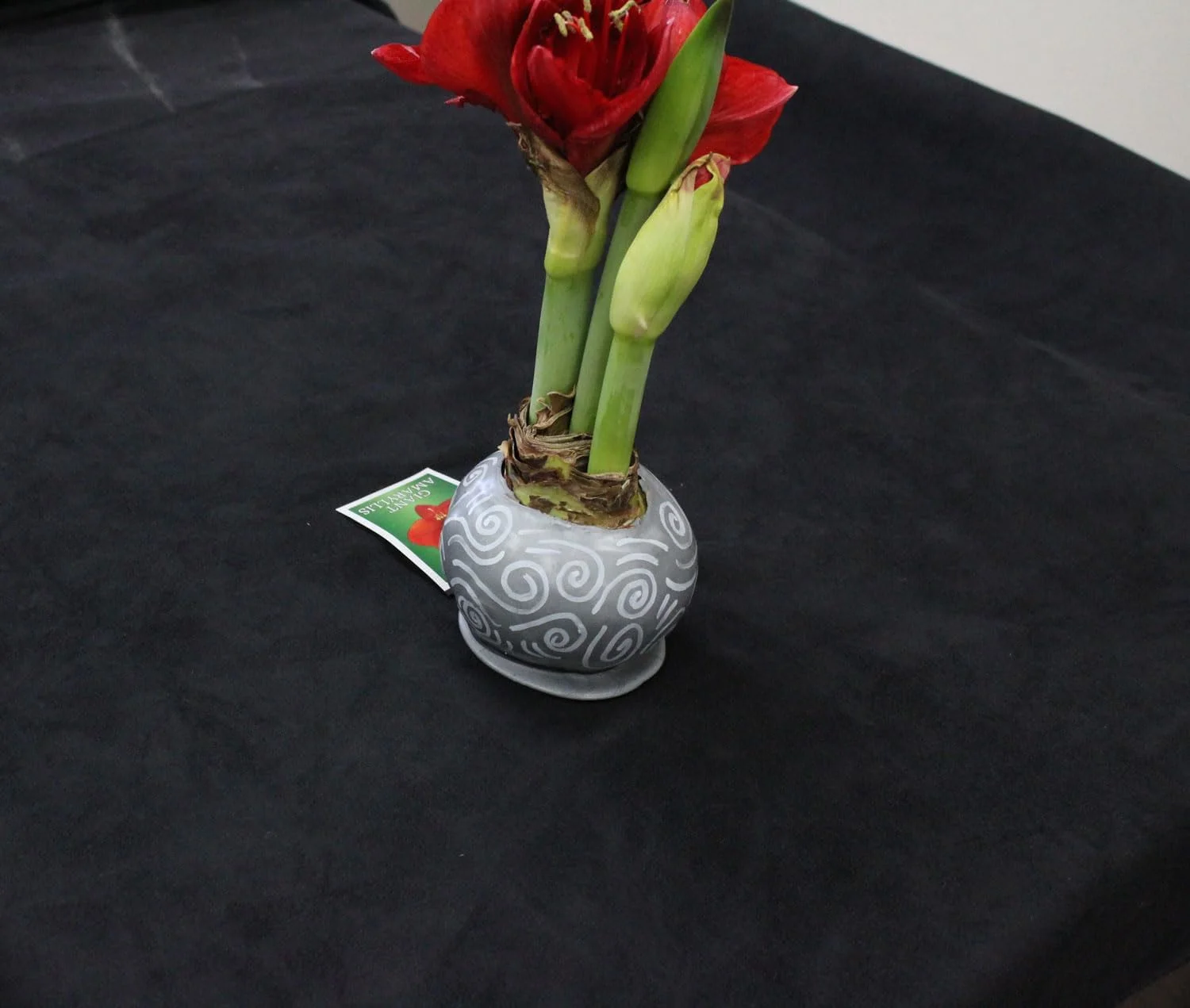 پارچه میکرو جیر Mybecca مناسب روکش مبلمان، پرده، پوشش اثاثیه و مصارف عمومی - عرض 2.5 سانتی متر - فروش به صورت متری - مشکی پارچه میکرو جیر Mybecca مناسب روکش مبلمان، پرده، پوشش اثاثیه و مصارف عمومی - عرض 2.5 سانتی متر - فروش به صورت متری - مشکی