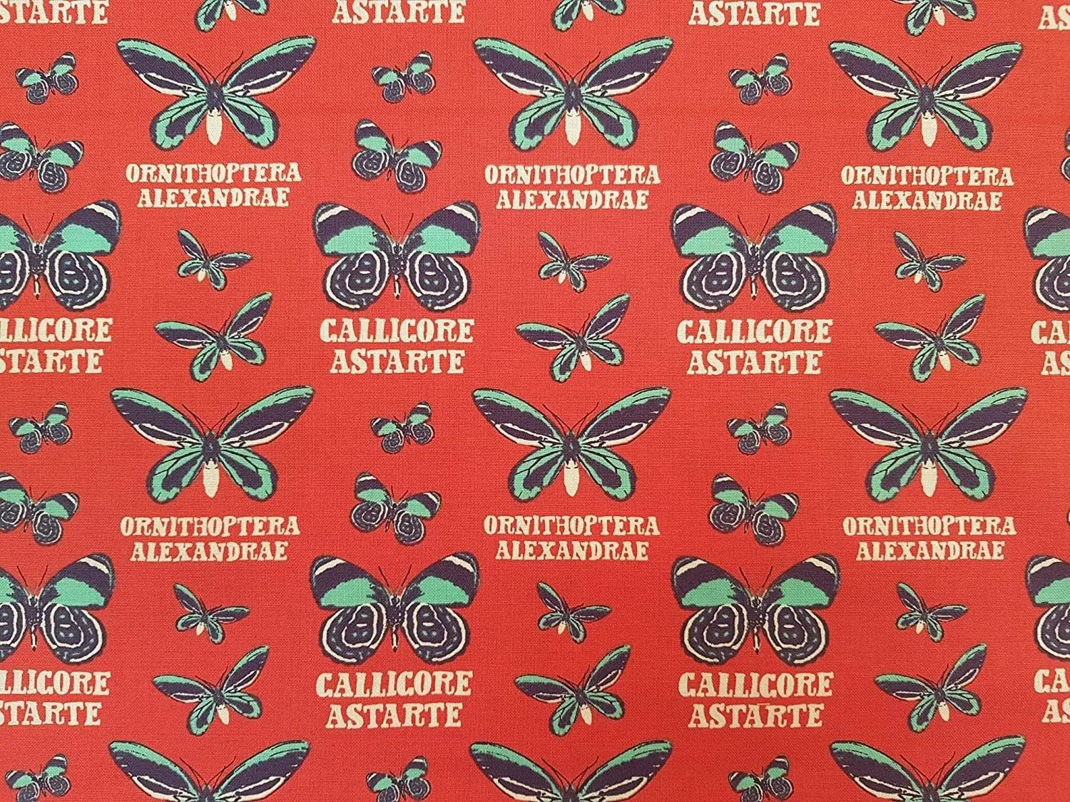 پارچه نخی طرح موزه تاریخ طبیعی - طرح مناطق گرمسیری (پروانه، 1 متر)