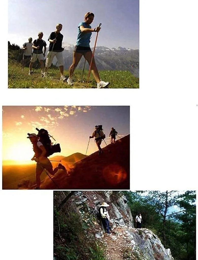 عصا زیر بغل چند منظوره تاشو، باتوم کوهنوردی، باتوم اسکی، عصای تلسکوپی آلیاژ آلومینیوم، عصای سه بخشی کوهنوردی، چوب دستی برای سالمندان - چن (سفید) LEOWE