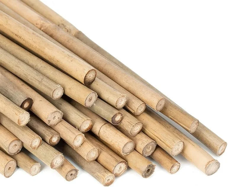 چوب های بامبو طبیعی Ahlatech برای پشتیبانی از گیاهان - چوب باغبانی بادوام و سازگار با محیط زیست برای گل ها، سبزیجات و گیاهان رونده 150 سانتی متر، 180 سانتی متر، 210 سانتی متر، 240 سانتی متر و 300 سانتی متر (240 سانتی متر x 10 عدد)