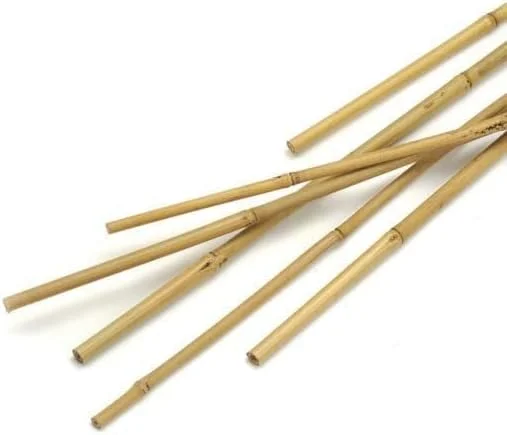 چوب های بامبو طبیعی Ahlatech برای پشتیبانی از گیاهان - چوب باغبانی بادوام و سازگار با محیط زیست برای گل ها، سبزیجات و گیاهان رونده 150 سانتی متر، 180 سانتی متر، 210 سانتی متر، 240 سانتی متر و 300 سانتی متر (240 سانتی متر x 10 عدد)