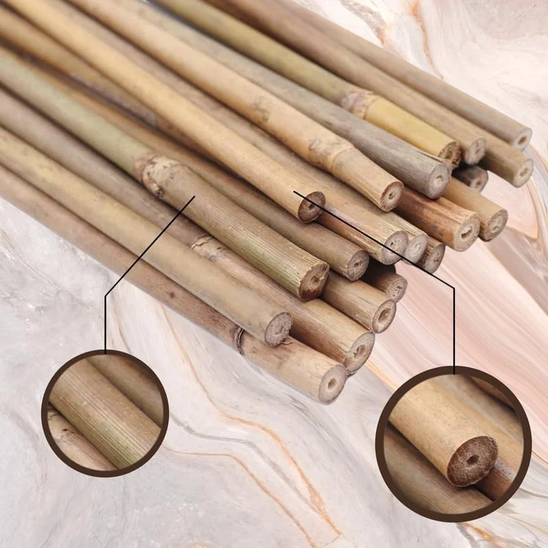 چوب های بامبو طبیعی Ahlatech برای پشتیبانی از گیاهان - چوب باغبانی بادوام و سازگار با محیط زیست برای گل ها، سبزیجات و گیاهان رونده 150 سانتی متر، 180 سانتی متر، 210 سانتی متر، 240 سانتی متر و 300 سانتی متر (240 سانتی متر x 10 عدد)