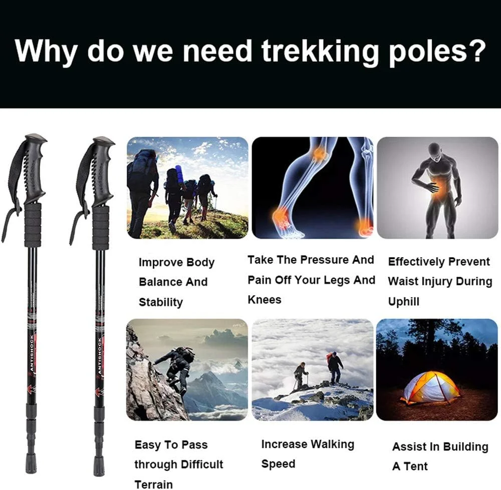 باتوم کوهنوردی Aihoye، بسته 2 عددی، تاشو، سبک وزن، ضد شوک، باتوم پیاده روی، باتوم کوهنوردی قابل تنظیم برای مردان و زنان باتوم کوهنوردی Aihoye، بسته 2 عددی، تاشو، سبک وزن، ضد شوک، باتوم پیاده روی، باتوم کوهنوردی قابل تنظیم برای مردان و زنان