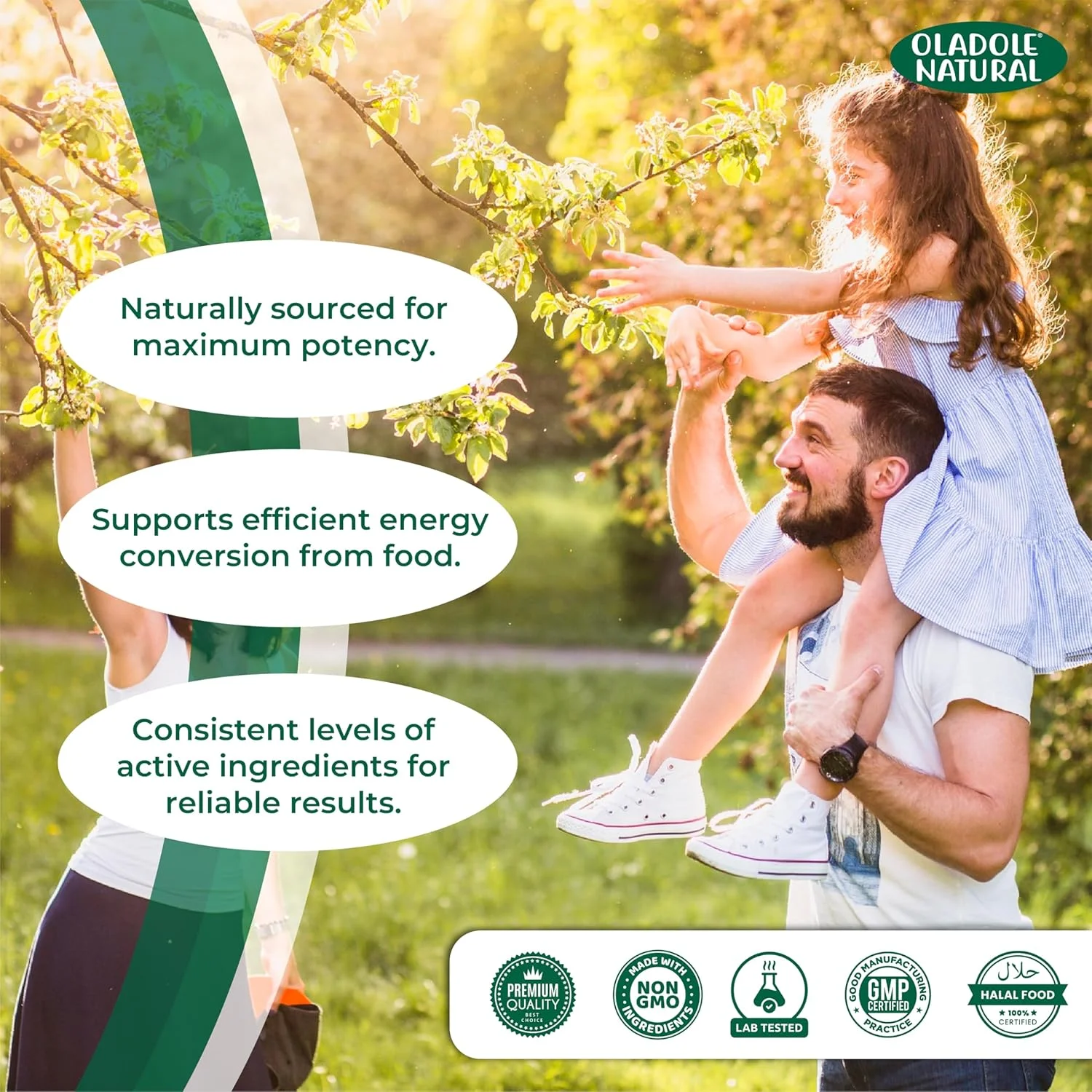 گارسینیا کامبوجیا طبیعی اولادول - 1000 میلی گرم (120 کپسول) | پشتیبانی از مدیریت وزن، افزایش سطح انرژی، متابولیسم سالم، تنظیم سطح قند خون و سلامت دستگاه گوارش | غیر GMO و بدون گلوتن