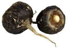 ریشه ماکا سیاه خوراکی درجه یک لقمان حکیم، برش خورده، 100 گرم