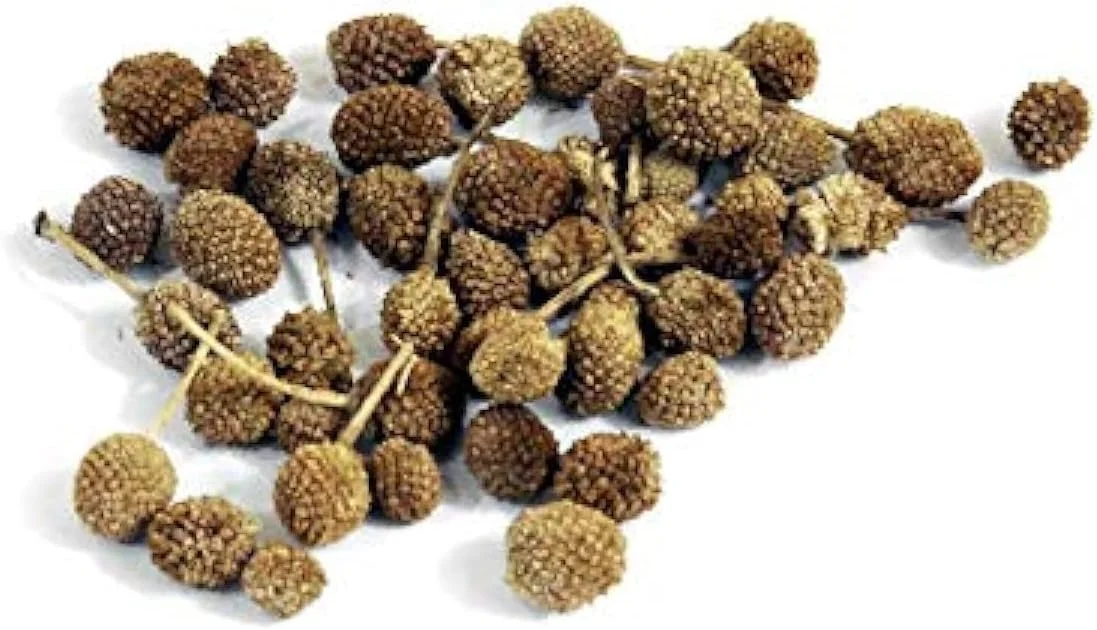 داروی گیاهی لقمان حکیم خار کروی هندی شرقی | گل مندی - گورخمندی - Sphaeranthus Indicus 100 گرم خام